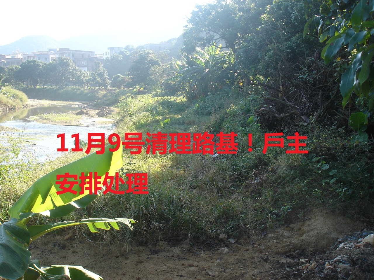 1541339010133174.jpg