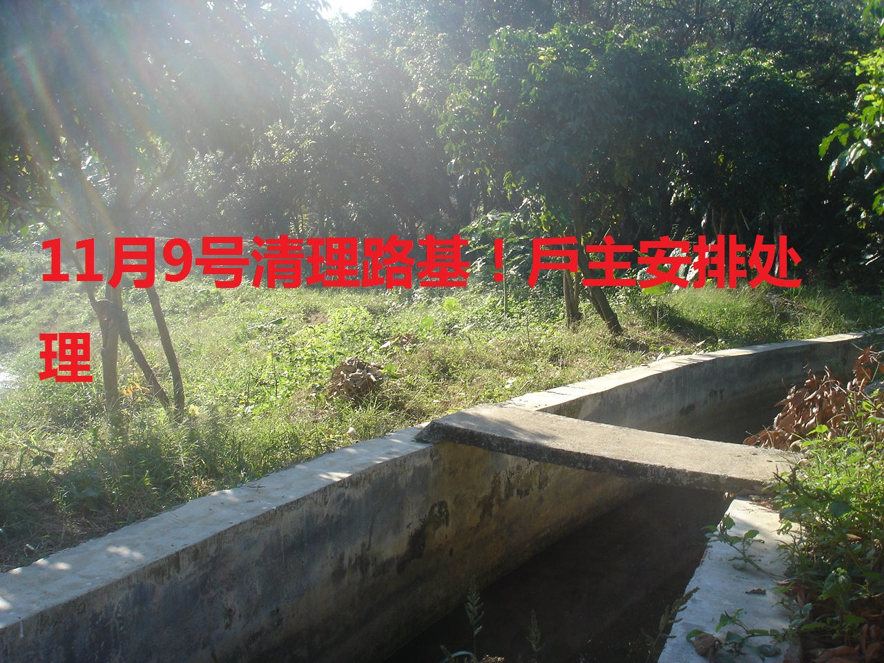1541339103370675.jpg