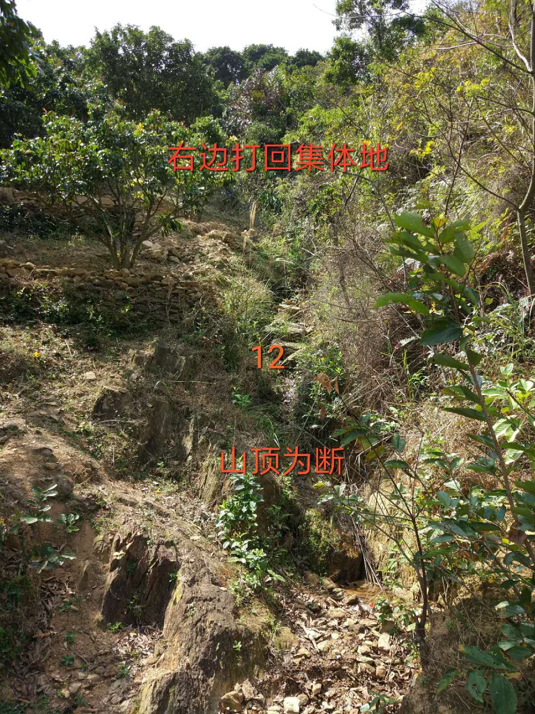 1547461453850824.jpg