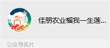 屏幕截图 2025-01-27 153958.png
